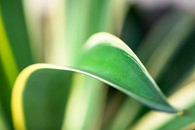 《宿星的女朋友》Steam页面 第四季度推出